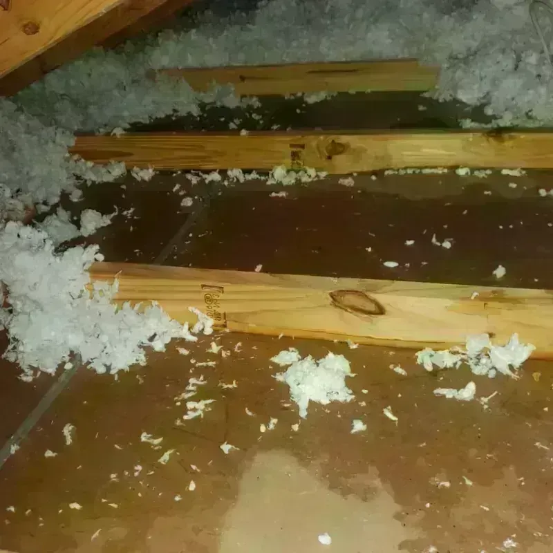 Attic Water Damage in Vienna, WV